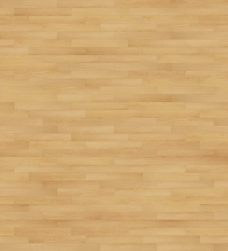 그랜드 스테디 165